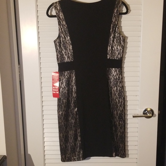 Lace Colorblock Dress - Picture 5 of 5
